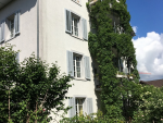 4.5 Zimmer-Dachwohnung in historischem Kosthaus