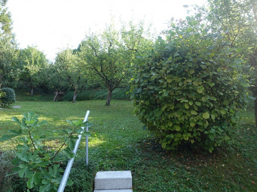Milchhüslistrasse 217 5237 Mönthal